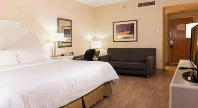 Номер Executive Holiday Inn Express Torreon by IHG