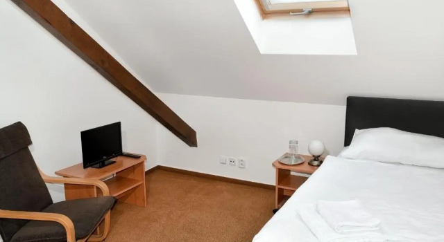 Номер Standard Hotel Bílý Koníček