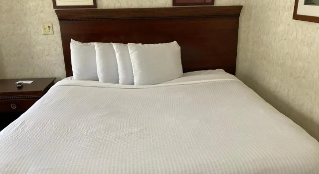 Номер Standard Park Lane Motel
