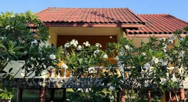 Deniz’s Chill House