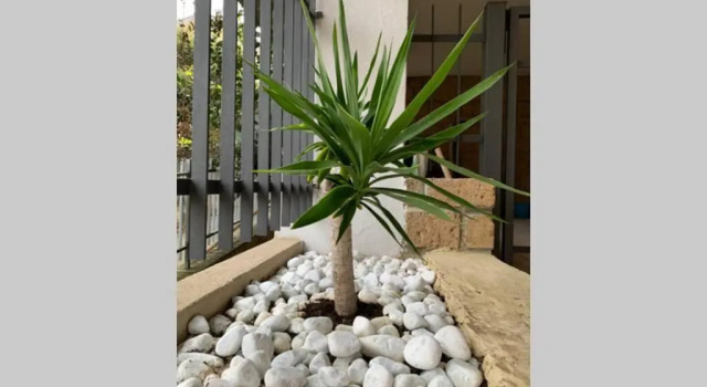 Коттедж Villa Sea House Olympia