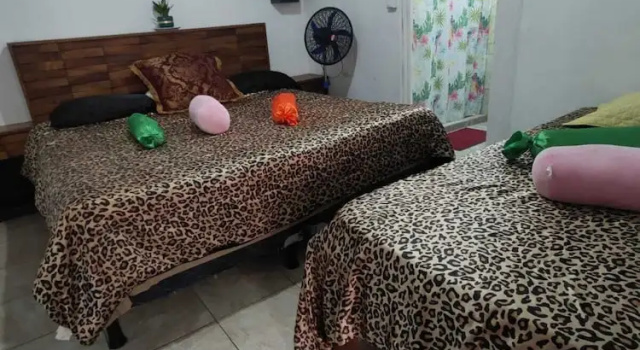 Номер Classic Green House Casa de Playa Tortuguero