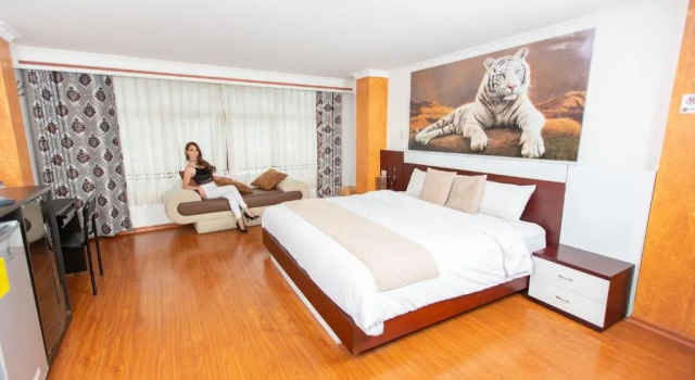 Двухместный люкс La Kapital Hotel