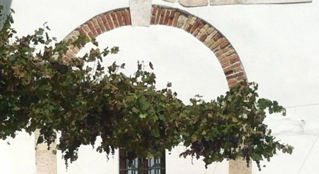 Relais Villa Gozzi B&B