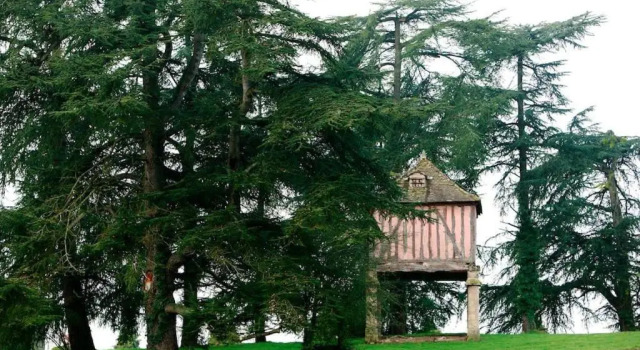 Orangerie et La Chartreuse du Domaine de la Graulet