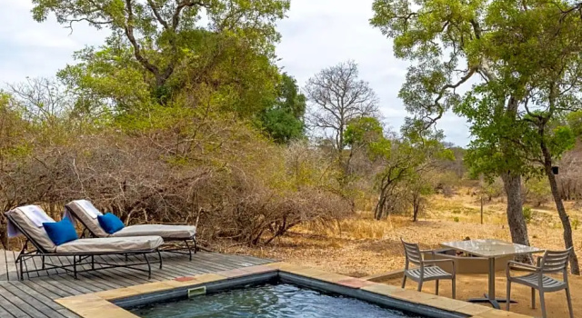 Люкс Deluxe The River Lodge At Thornybush