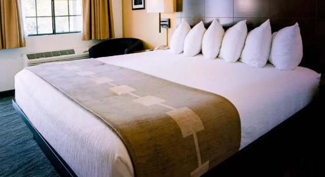 Номер Standard Pines Inn & Suites