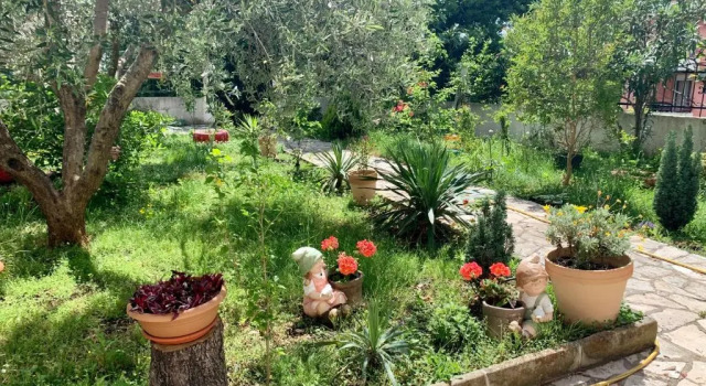 Студия Holiday apartments Petrovac