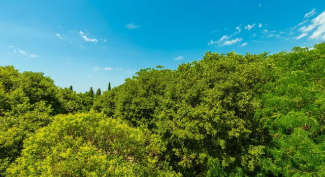 Апартаменты Hedera Estate, Hedera A1