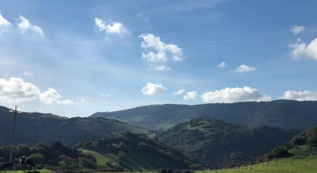 Agriturismo Sa Tanca Noa, Buchen Sie Hotel Tergu Costa Paradiso