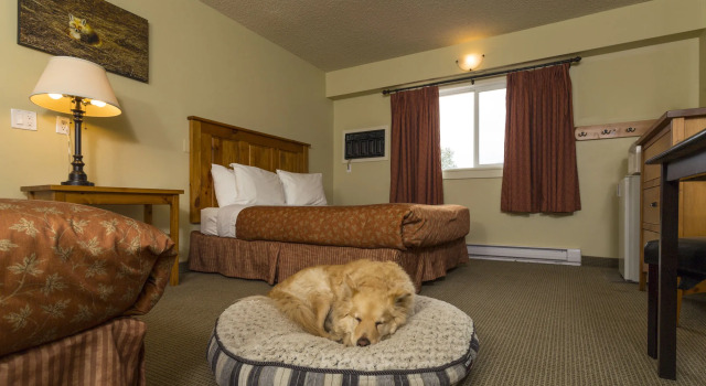 Red Tree Lodge, Rezervați Hotel Fernie Columbia Britanică