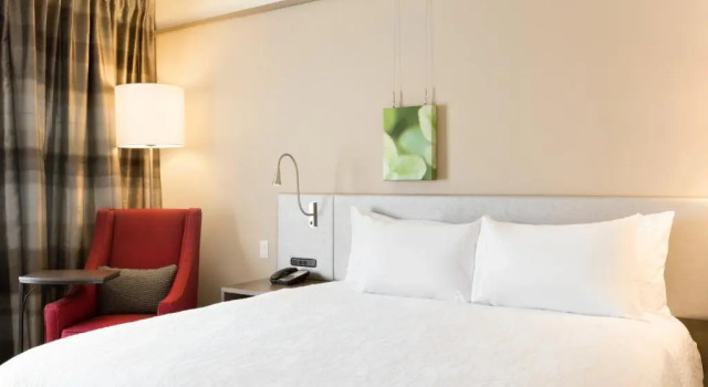 Двухместный Гостевой номер Accessible Hilton Garden Inn Pittsburgh Airport South-Robinson Mall
