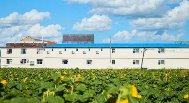 Fengning Bashang Grassland Defeng · Welcoming Manor (China Horse Town Tourist Resort)