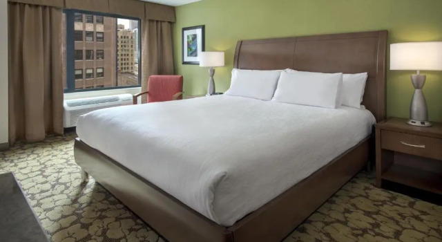 Двухместный номер Hilton Garden Inn Chicago Downtown Riverwalk