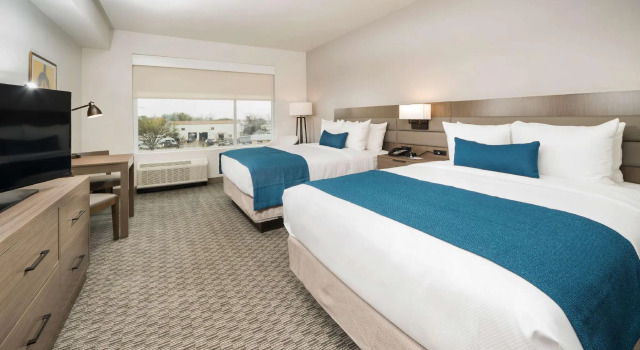 Четырёхместный номер Standard Wingate by Wyndham Austin North - Round Rock