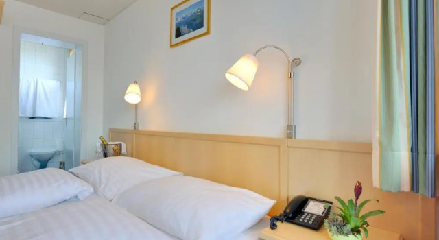Двухместный номер Standard Hotel Alpenruh