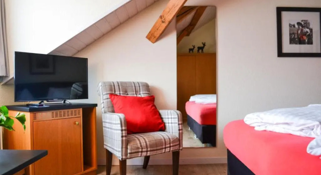Двухместный номер Deluxe Hotel Landhaus Säntis Herisau