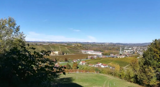 Апартаменты Tenuta Montanello B&B