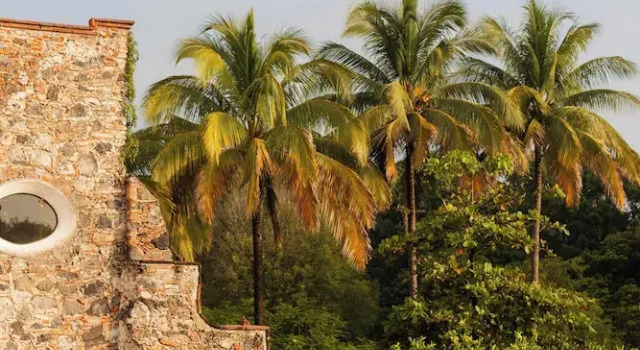 Полулюкс Hacienda Acamilpa