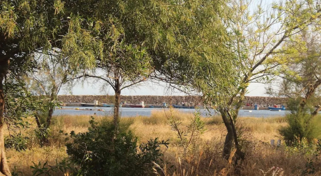 Apartament Sabbia e Mare