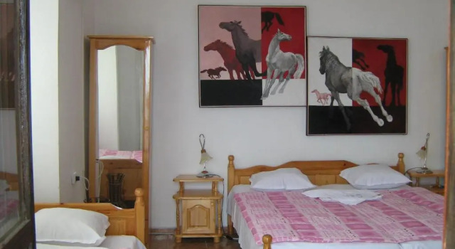 Номер Standard Guest House Orbita