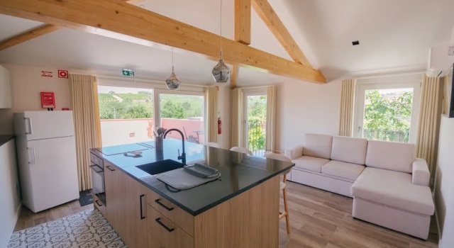 Студия Quinta Vale de Sousa - Douro Valley