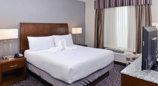 Одноместный люкс Hilton Garden Inn Hobbs