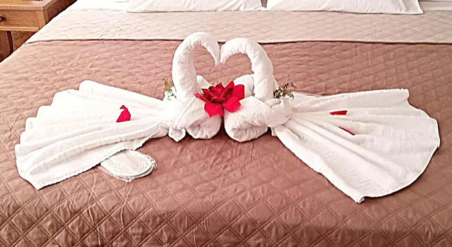 Номер Standard Santrivani Rooms