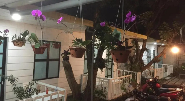 Номер Deluxe Hani House