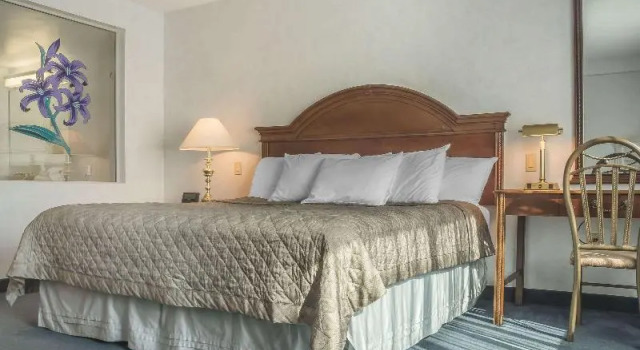 Двухместный номер Rodeway Inn Fallsview