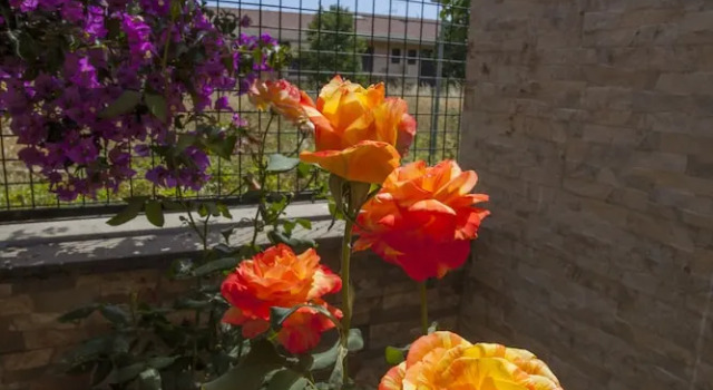 Villa Jasmine tra Etna e Mare, Book Villa Hotels in Sicily with a Pool, Swimming Pool