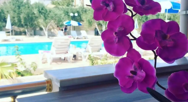 Номер Standard Afissia Garden Hotel