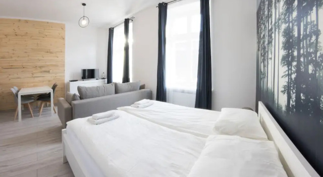 Люкс Rister Apartments