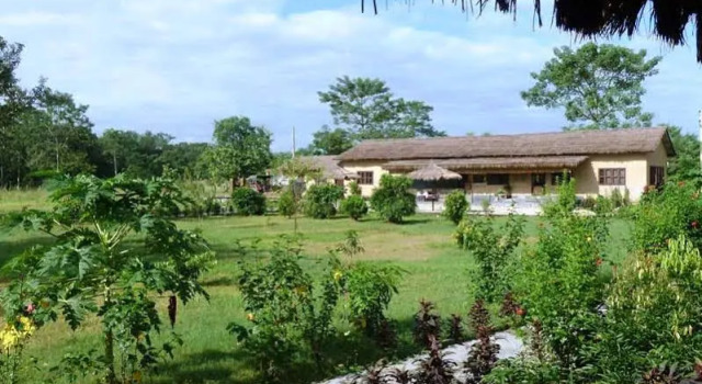 Eco Wildlife Lodge