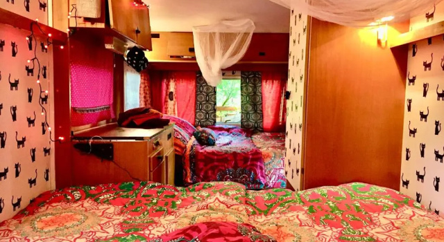 Номер Standard с красивым видом из окна Eco Camping De Helleborus