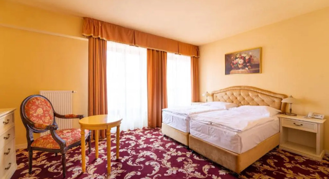 Двухместный номер Deluxe Spa Hotel Vita