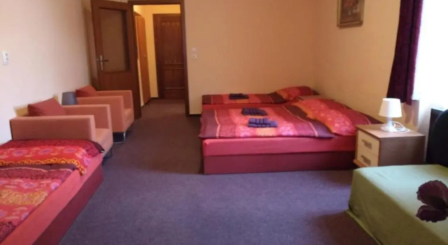 Семейный номер Standard Guest House U Zámku