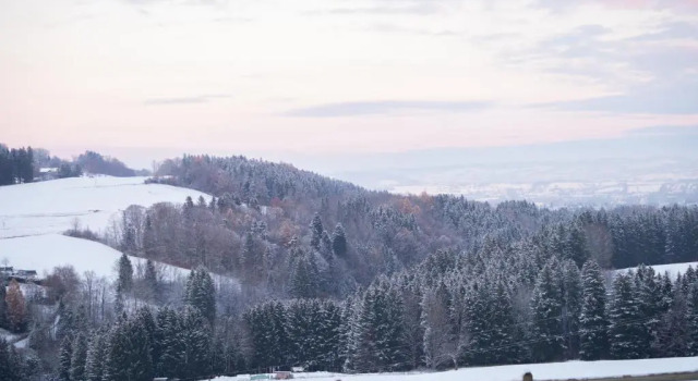 Апартаменты Gut Buchenhof