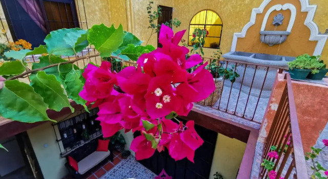 Maison Bougainvillea, Rezerwuj Hotel Antigua Guatemala Zacatepeques