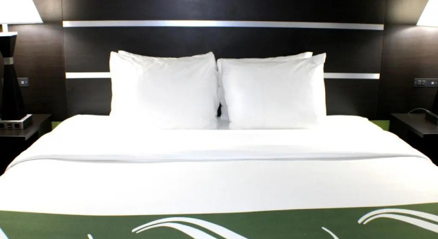 Номер Standard Quality Inn & Suites Bedford West