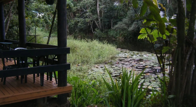 Двухместный номер Economy с видом на воду Rainforest Eco Lodge