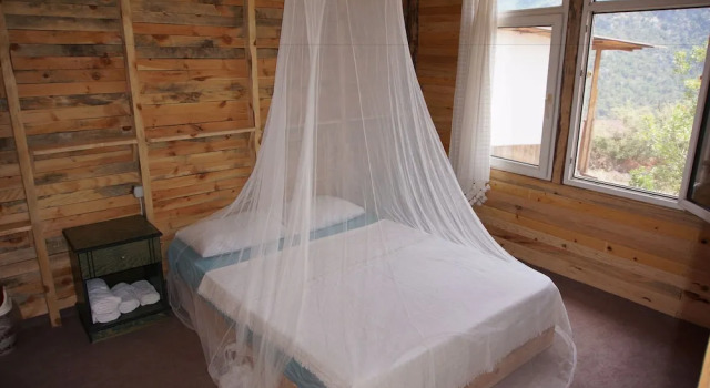 Бунгало Standard Shiva Camp