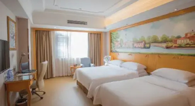 Люкс Superior Vienna Hotel (Qidong Lvsigang)