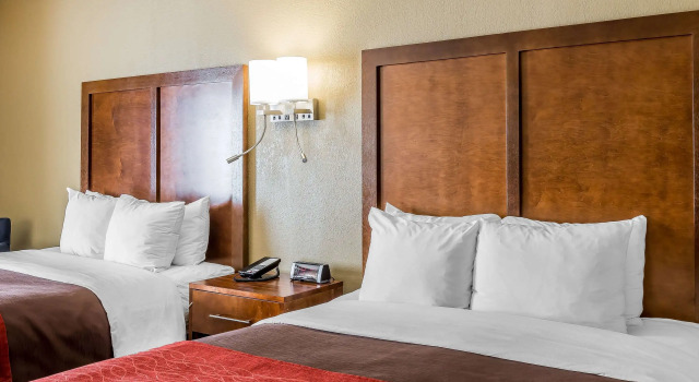 Comfort Inn & Suites, Reserva ahora Hotel Dalton Georgia