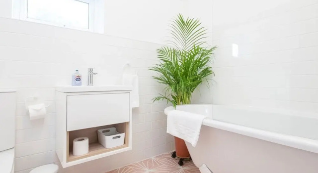 Spacious Victorian Canton Home, Sleeps 8 W/parking