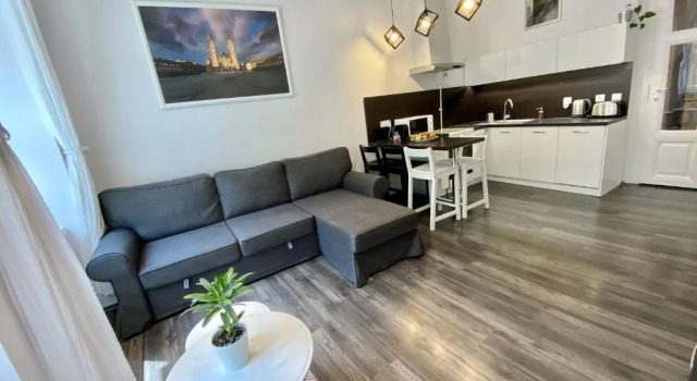 Апартаменты с 2 комнатами Art Apartment Szeged