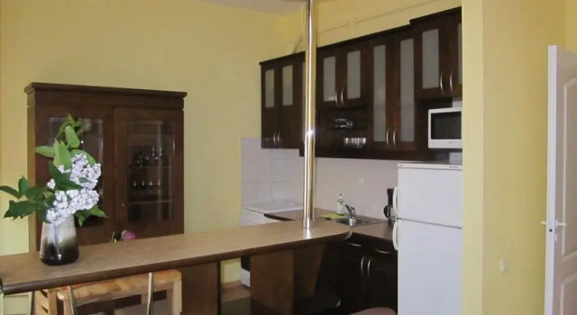 Center Apartment Avots