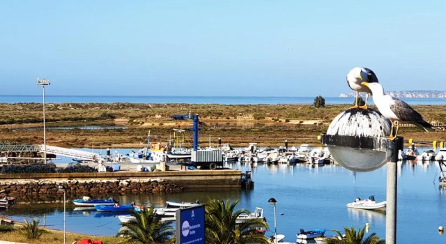Апартаменты Dunas Alvor 211