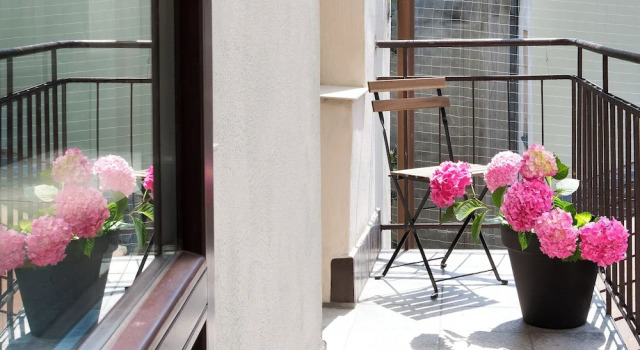 Апартаменты Antique Apartments Old Town