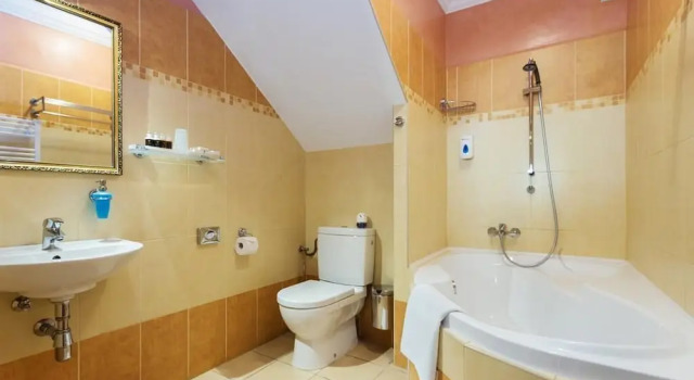 Двухместный номер Deluxe Hotel Karlštejn & SPA